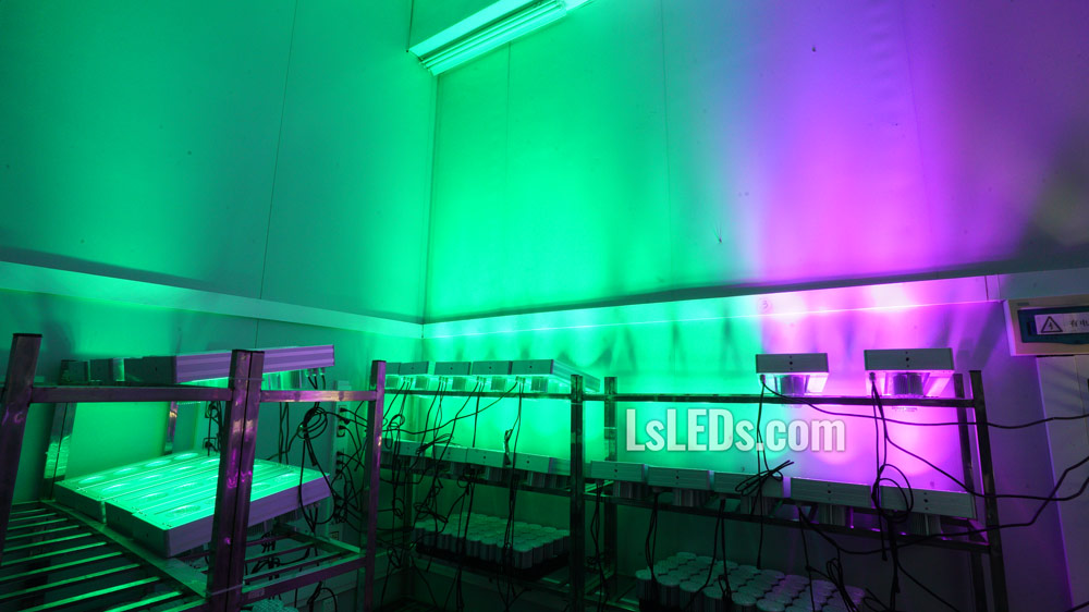 RGB-LED-hall-lights-2-ls