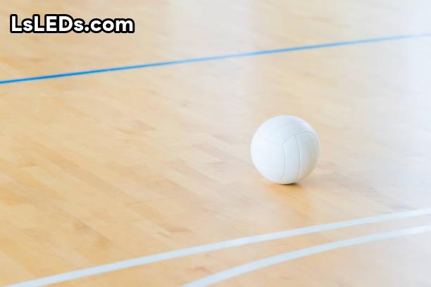 What Does Line Mean In Volleyball Lsleds